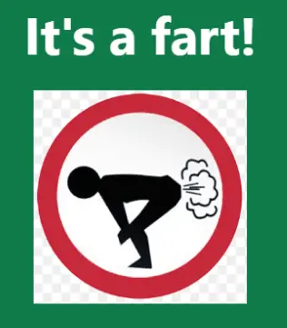 Fart or Art screenshot of usage
